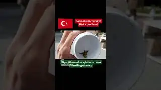 Cannabis in Turkey?