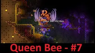 Terraria Triad #7 - Queen Bee