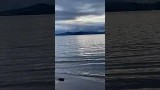 Beautiful talk ❤️ Sharuk khan #peace #viral #nature #islam #shortvideo #ireland