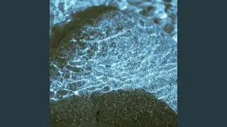 sample and hold