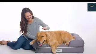 Top 5 Best Dog Beds in 2022: Reviews of the Best Dog Sleeping Beds on Amazon