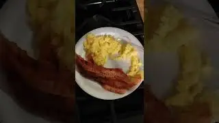 Transgender Tries the Carnivore Diet to answer questions