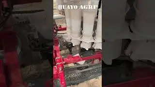 2 Row Self propelled Pepper Tomato Transplanter