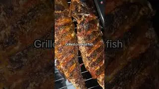 Savor Delicious Croaker Fish #croakerfish