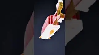 3d rotating Minecraft fish #brainrot #fish #rotation #3d