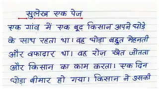 Sulekh/Hindi Sulekh writing/Hindi Sulekh Lekhan/Hindi Sulekh | Hindi ki sulekh/Sulekh Hindi Mein
