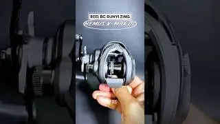 Reel BC Bunyi Zing Hemus VMAX DC