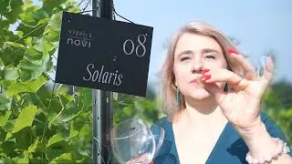 winnica NOVI - NA BOGATO!  Małopolski Szlak Winny 2022