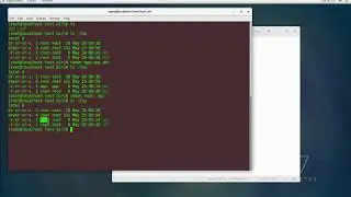 Linux/Unix Tutorial for Beginners - chown command