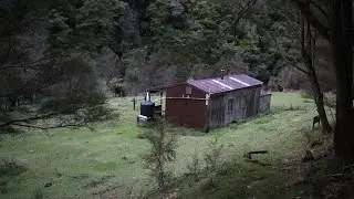 Ohora Hut Overnight Tramp, Te Urewera