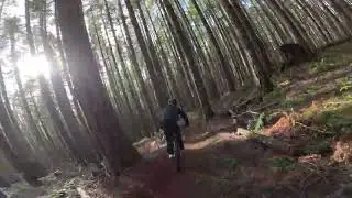 BR Sickter Gnar... not enough speed! 