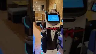 Robot Cat Waiter in Japan #japan #travel #robot #cat #cafe #food