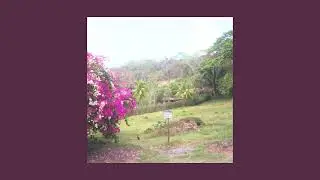 Kip Nelson - Such A Life / Smokey