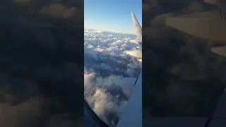 #plants #iskycloud #traveling #trending #best#m&uuml;nchen #flightvideo #clouds #best #travel