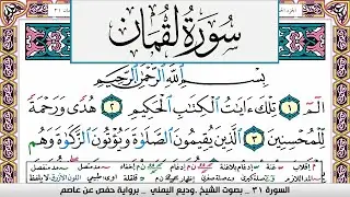 تحفيظ سورة لقمان كل صفحة مكررة 3 مرات للحفظ والمراجعة والتثبيت وديع اليمني