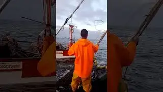 pesca del jurel pisco Perú