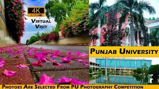 Punjab University Lahore Virtual Tour | 4K