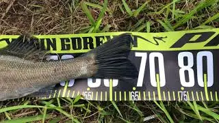 Levrek avı seabass spinning