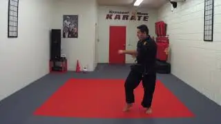Knife Hand Block   Reverse Punch Cat Stance