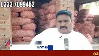 Garlic Lehsun,Lasun NS756 How to Grow, Markete, Season By Rao Khalid Chak No 452GB Rehmay Shah