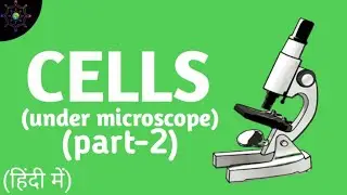 Cells under microscope (part-2)/ letion-4/ (हिन्दी में) / Bal vigyan.