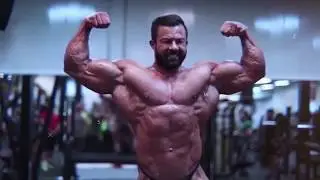 Babak Akbarniya Highlights