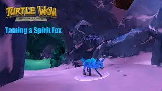 Taming a Spirit Fox in Winterspring Turtle WoW