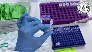 Polymerase chain reaction PCR