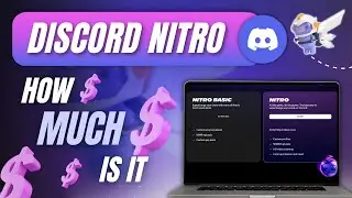 Сколько стоит Discord Nitro? Планы и цены.