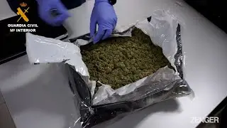 Cannabis Trafficking Gang So Busy They Set Up Own Air Mail Department