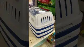 Things I would buy at the pet store for my guinea pigs! #guineapigcare #pets  #guineapig