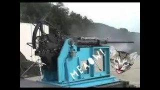 Korean 40mm cannon sounds like cat