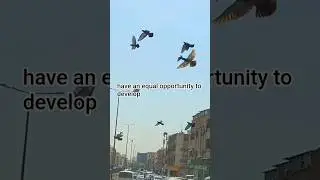 Riyadh #shorts #riyadh #streets #quotes  #kids #streets   #Exploring Riyadh Streets #trending