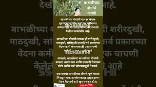 बाभळीच्या शेंगांचे फायदे #medicinal benefit of Acacia pods#ayurveda #Babool ke powder fayde #