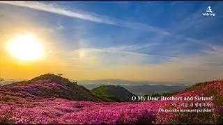 〖NEW SONG〗O My Dear Brothers and Sisters! 아 그리운 내 형제자매여 ▷ WMSCOG, 하나님의 교회