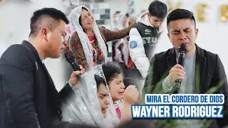 Wayner Rodríguez🔥😭 MIRA EL CORDERO DE DIOS🥺 Y Alabanzas en el Cielo/ LO RECIENTE Febrero 2026