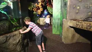 SEA LIFE Brighton Advert 2015