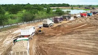 Amazing Group Of Mini Dump Truck Moving Unloading Sand Huge Sand Filling Up KOMATSU - SHANTUI Dozer