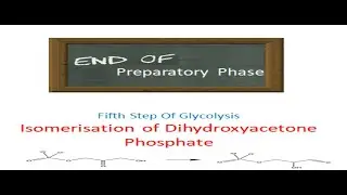Fifth step of glycolysis-Isomerisation of dihydroxyacetone phosphate