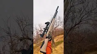 Snowpeak PR900 Gen3 | One Perfect Shot #airrifleshooting #airguns