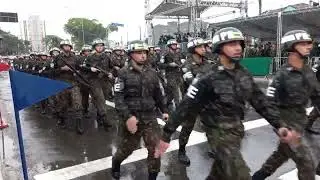 Polícia do Exército (2º e 8º BPE) | Desfile de 7 de Setembro de 2022 em São Paulo