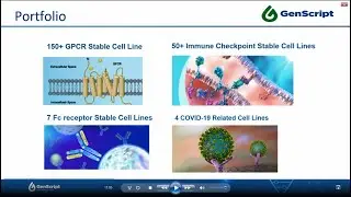 Speed Up Your Drug Discovery With Ready to use Stable Cell Lines