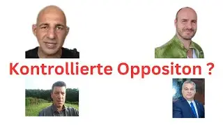 Darius und Vermietertagebuch: Kontrollierte Opposition ?