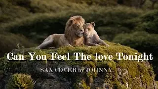 CAN YOU FEEL THE LOVE TONIGHT - Sax cover by JOHNNY MAEDA
