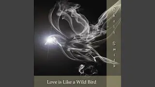 Love is Like a Wild Bird
