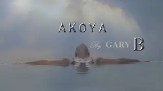 Gary B - AKOYA - original mix (2022)