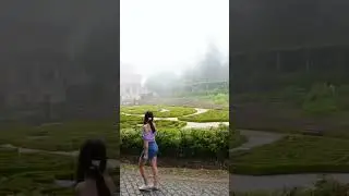 Bussaco Palace - the most beautiful hotel in Mata do Bussaco, Portugal