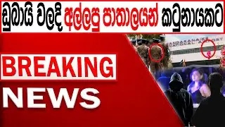 ඩුබායි වලදි අල්ලපු පාතාලයන් කටුනායකට /BREAKING NEWSChannel 4