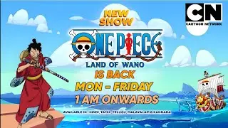 🔥 One Piece Hindi Dub New Episodes are finally starting on Cartoon Network India!