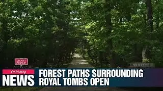 8 forest paths surrounding royal tombs open